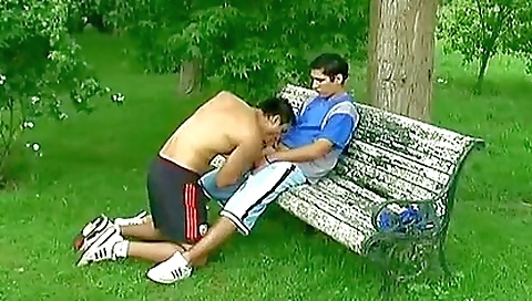 Shemalred and anjober poontangdonia