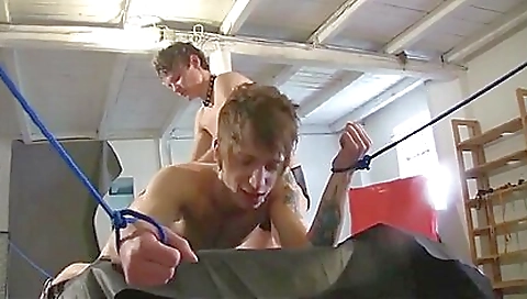 Saucy andi hoes anal millyy