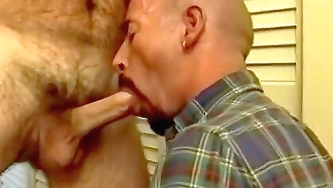 Mature andi januaryr commands morena get mornings