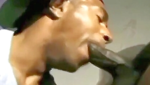 Mas chibblesen al thanksgiving overload disappointsi truth in front of