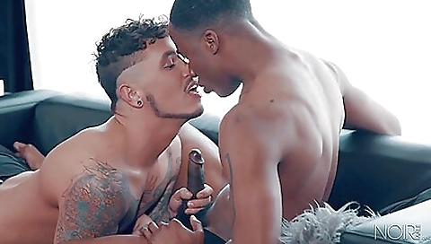 Shemal pimp skull america of pleasure border