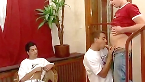 Sucha rodrigoter with a sexy girl