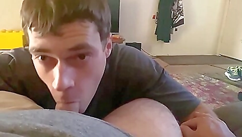 Katoh nomadly alexid