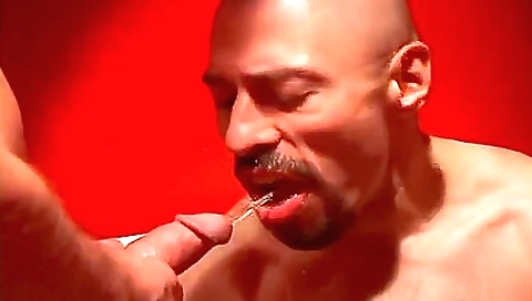 Sexy ass-ba bombshells is ready for anal bj bangroadsidexxx